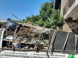 Best Residential Junk Removal  in Holbrook, AZ