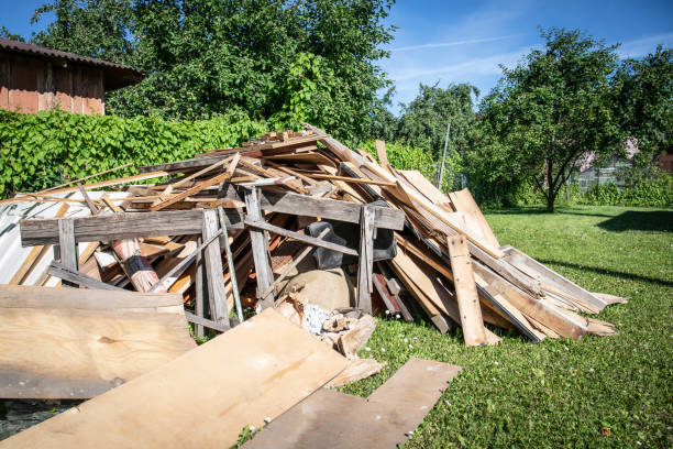 Best Hoarding Cleanup  in Holbrook, AZ